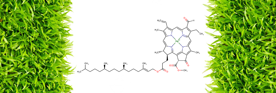 Molecule of the month